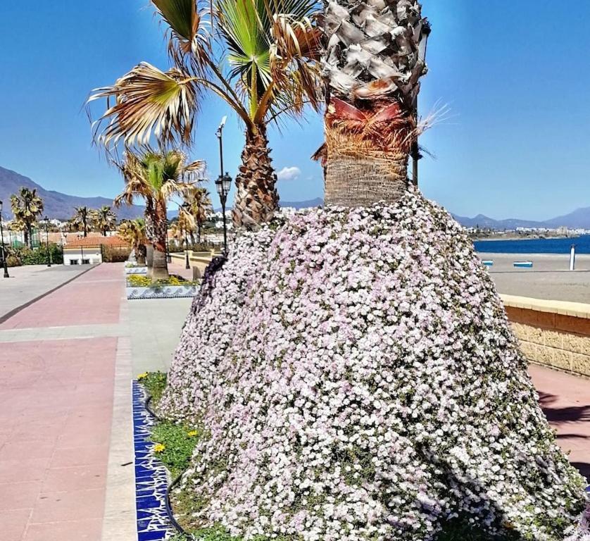 28 Mikonos Playa In Puerto De La Duquesa 2 Bed 2 Bath Apartment Ideally Located To The Beach & Marina Castillo de Sabinillas Esterno foto